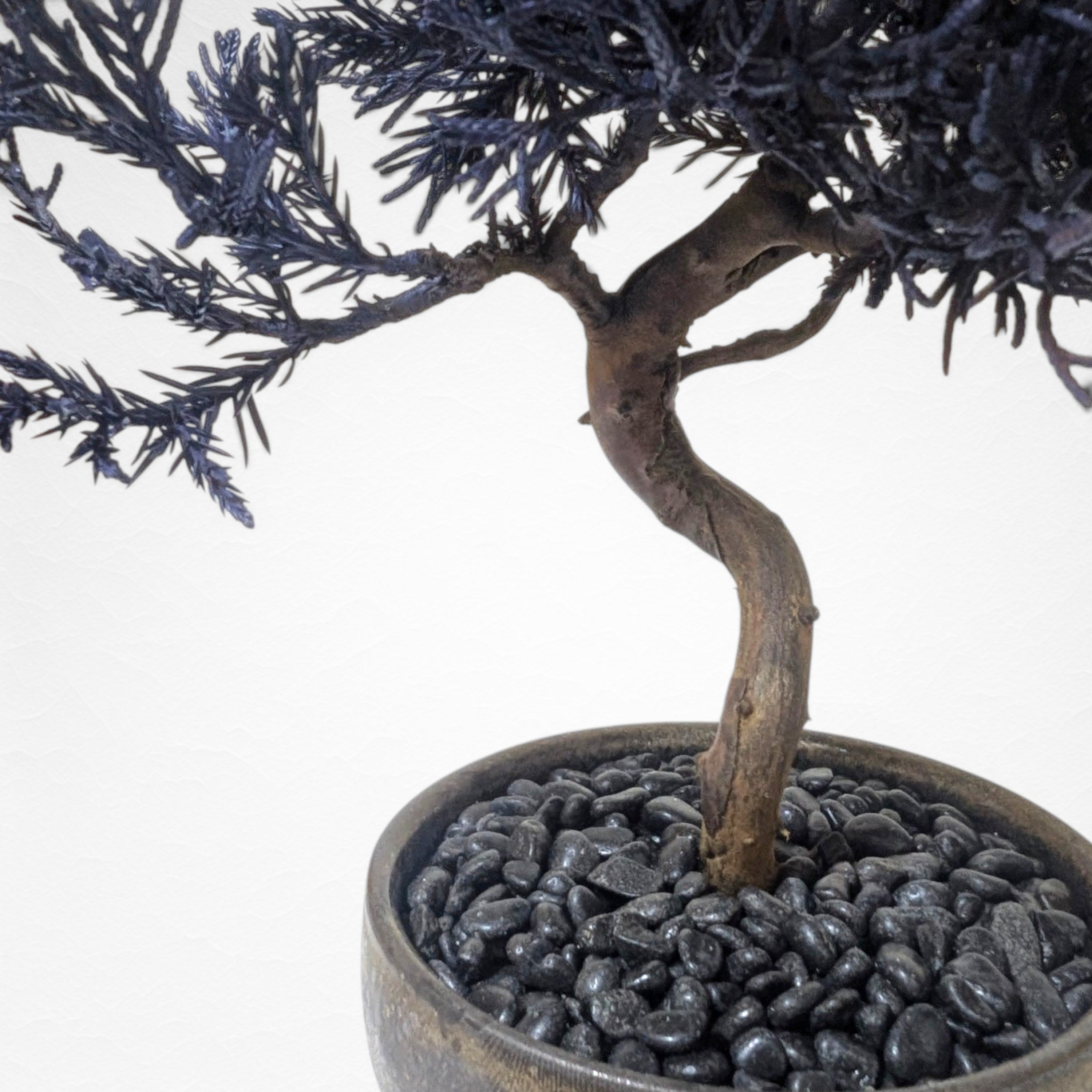 【TOKIWA BONSAI】 プリザーブド盆栽 真柏 T260607