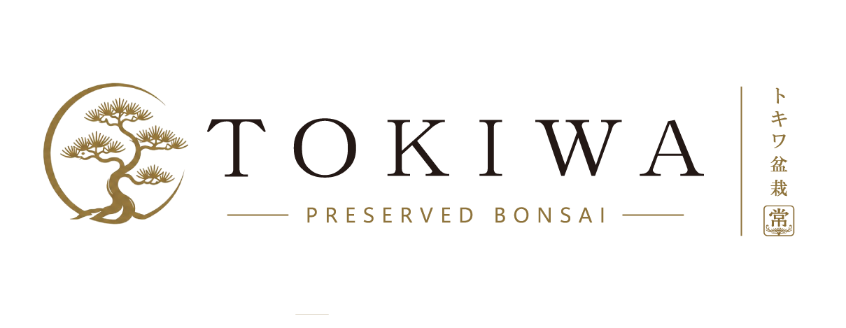 TOKIWA BONSAI